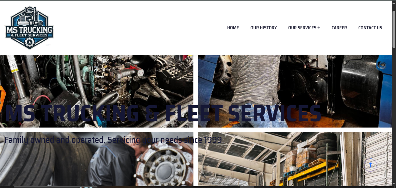Custom web development services portfolio project