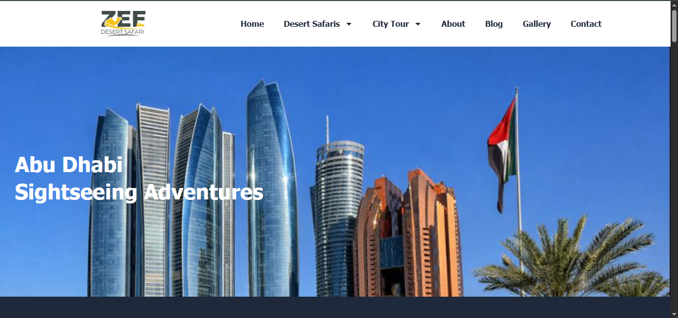 Custom web development services portfolio project