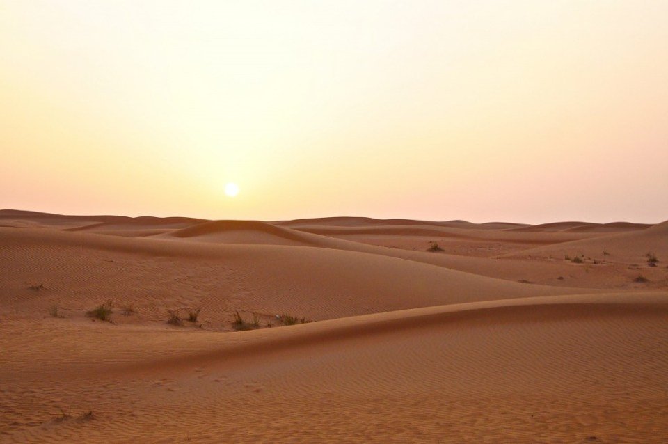 Desert-safari-dubai-copyright